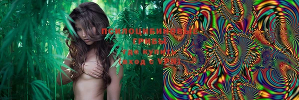 марки lsd Бородино