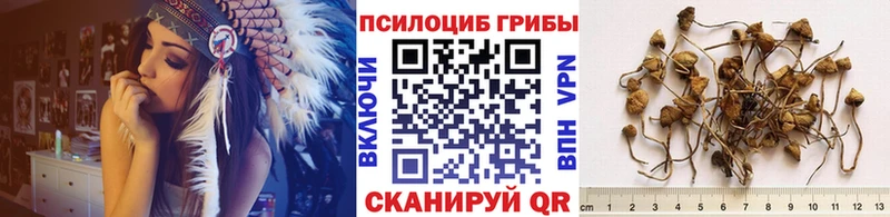 Галлюциногенные грибы Psilocybine cubensis  гидра маркетплейс  Мончегорск 
